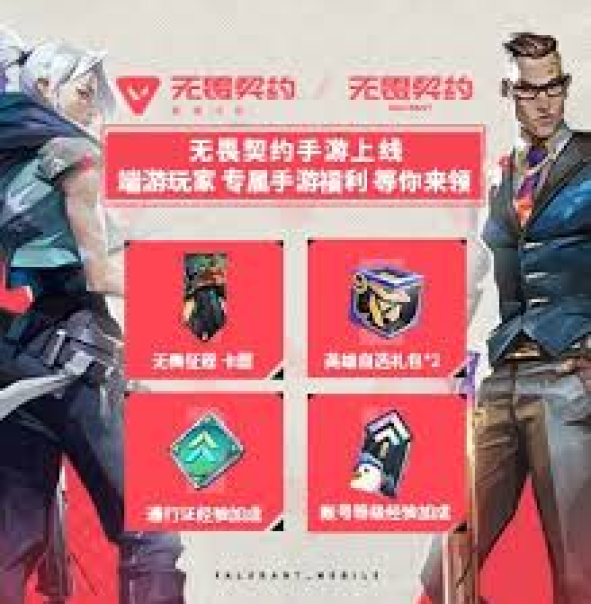 公司服务
